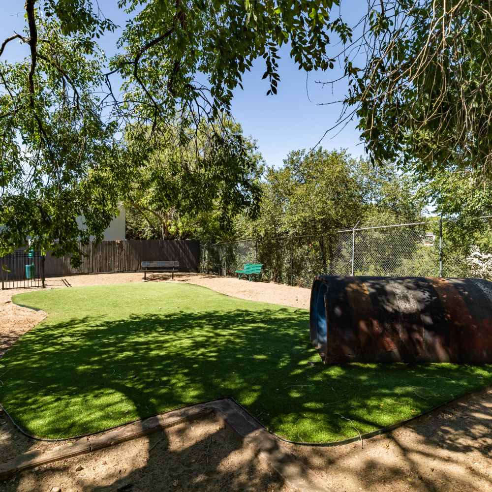 dog park