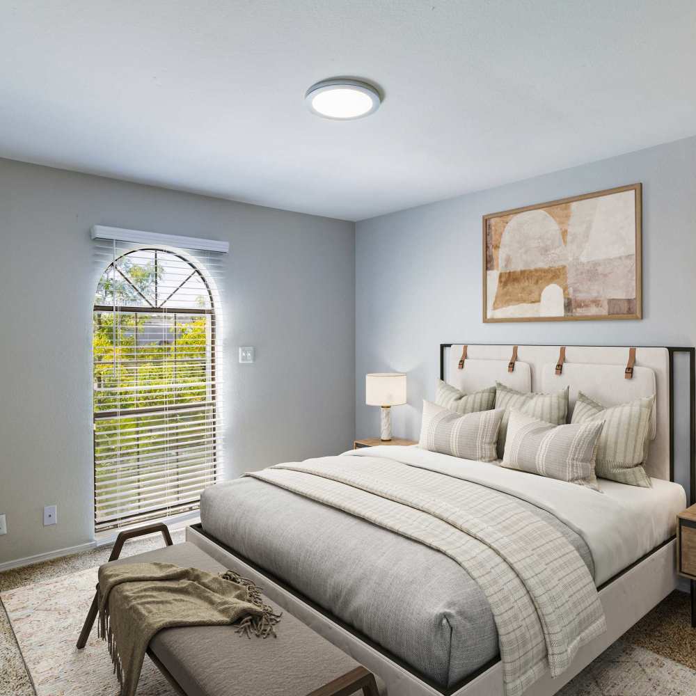 Bright windows