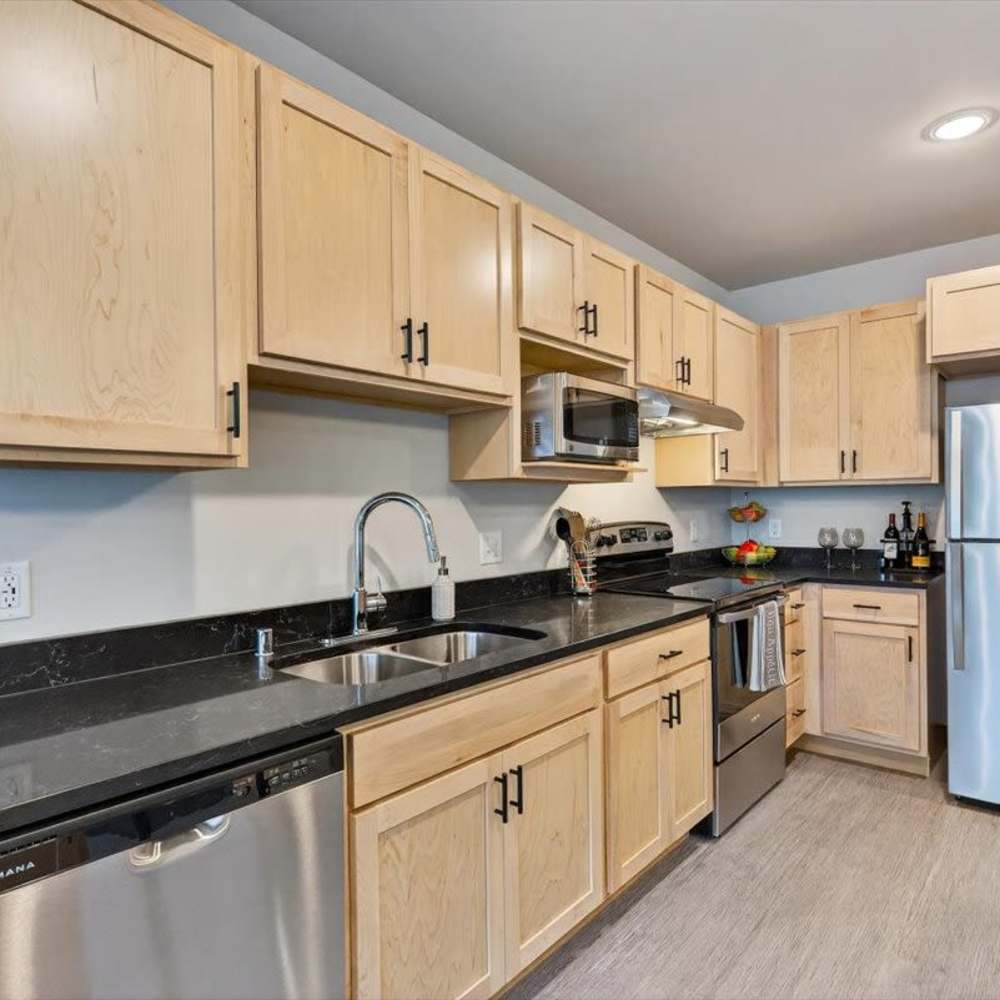 Stainless Steel Appliances