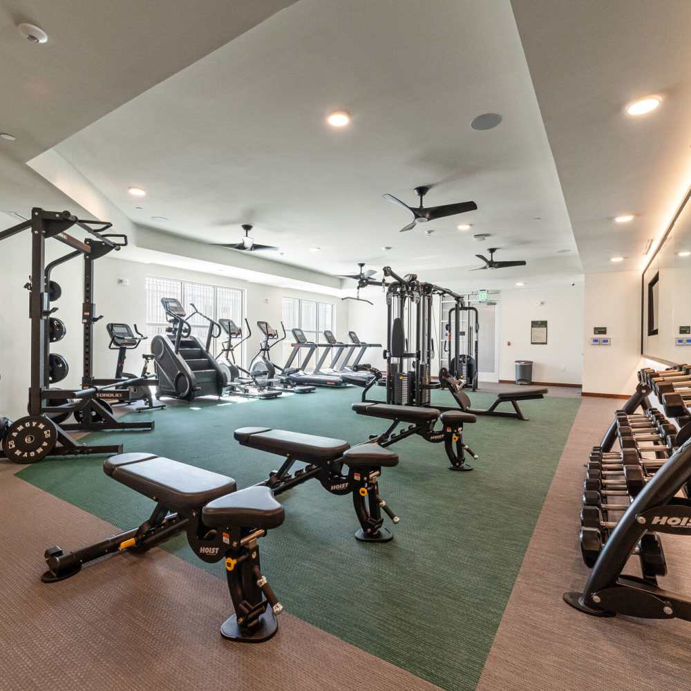 Community fitness center at Main and Mill in Lewisville,Texas