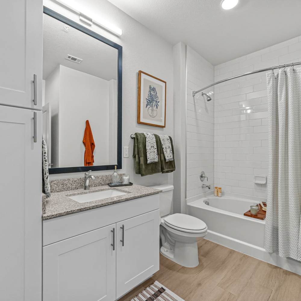 Bright bathroom at Main and Mill in Lewisville,Texas