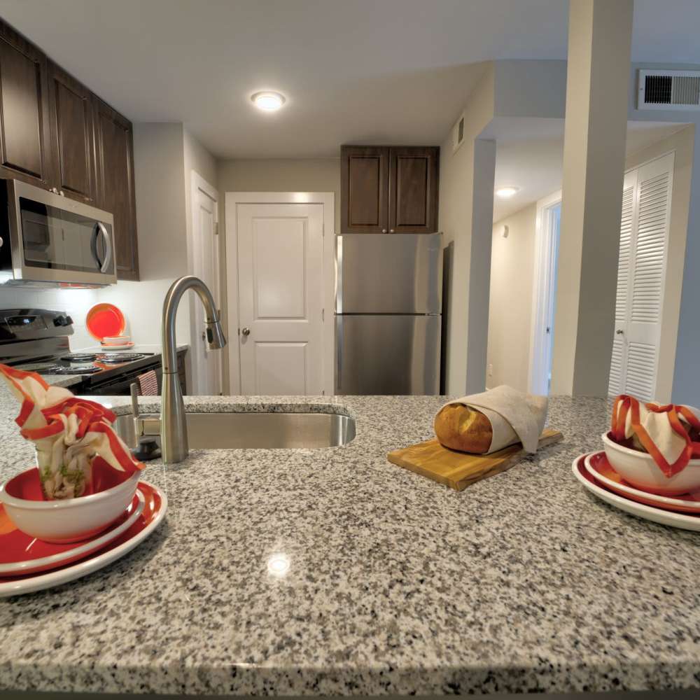Modern kitchen with granite countertops and stainless steel appliances at Avonlea Riverside in Atlanta, Georgia
