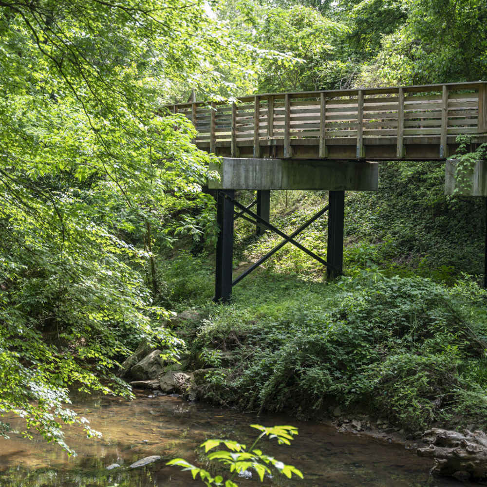 Wooden bridge above a gentle stream surrounded by vibrant green foliage at Avonlea Riverside in Atlanta, Georgia