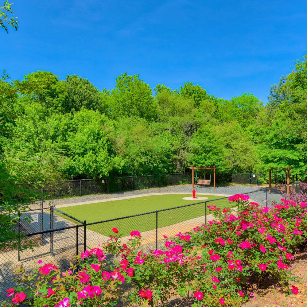 Dog park at Avonlea Towne Lake in Woodstock, Georgia