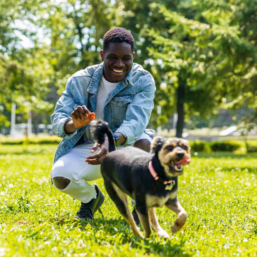 Dog playing at park near Viva at New Smyrna Beach in New Smyrna Beach, Florida