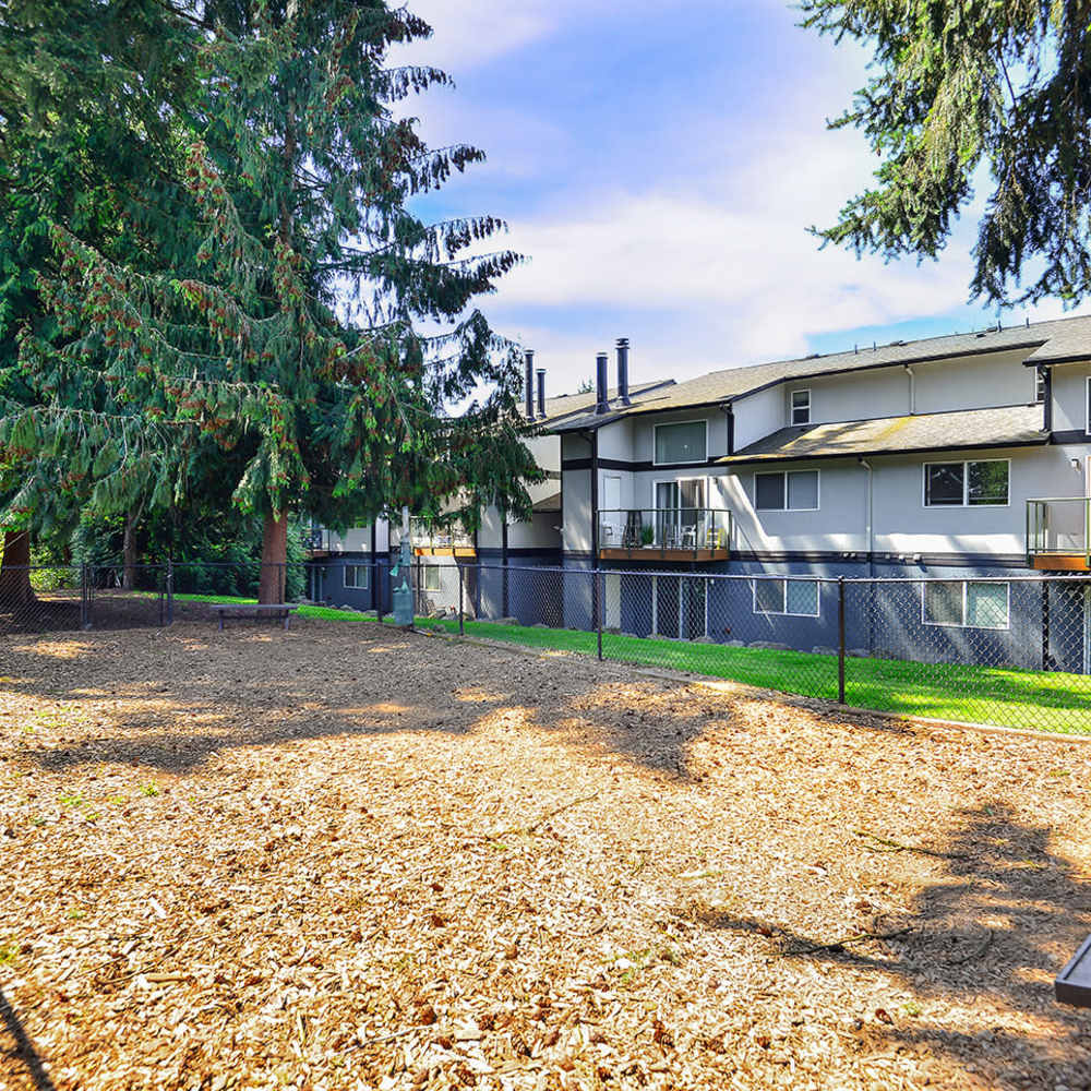 Tessera Apartments - Everett - Dog Park