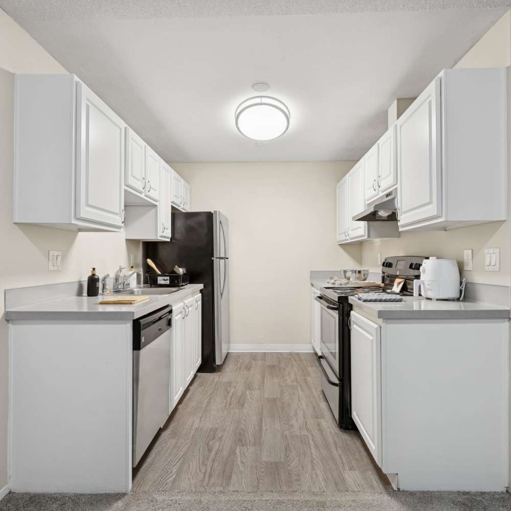 Tessera Apartments - 1 Bedroom Kitchen