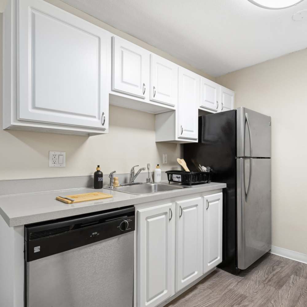 Tessera Apartments - 1 Bedroom Kitchen
