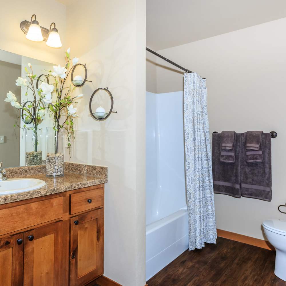 Bright bathroom with tub at InterPointe Apartments in Billings, Montana