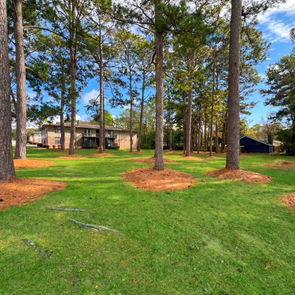 Living area of an apartment home at Lake Forest in Daphne, Alabama