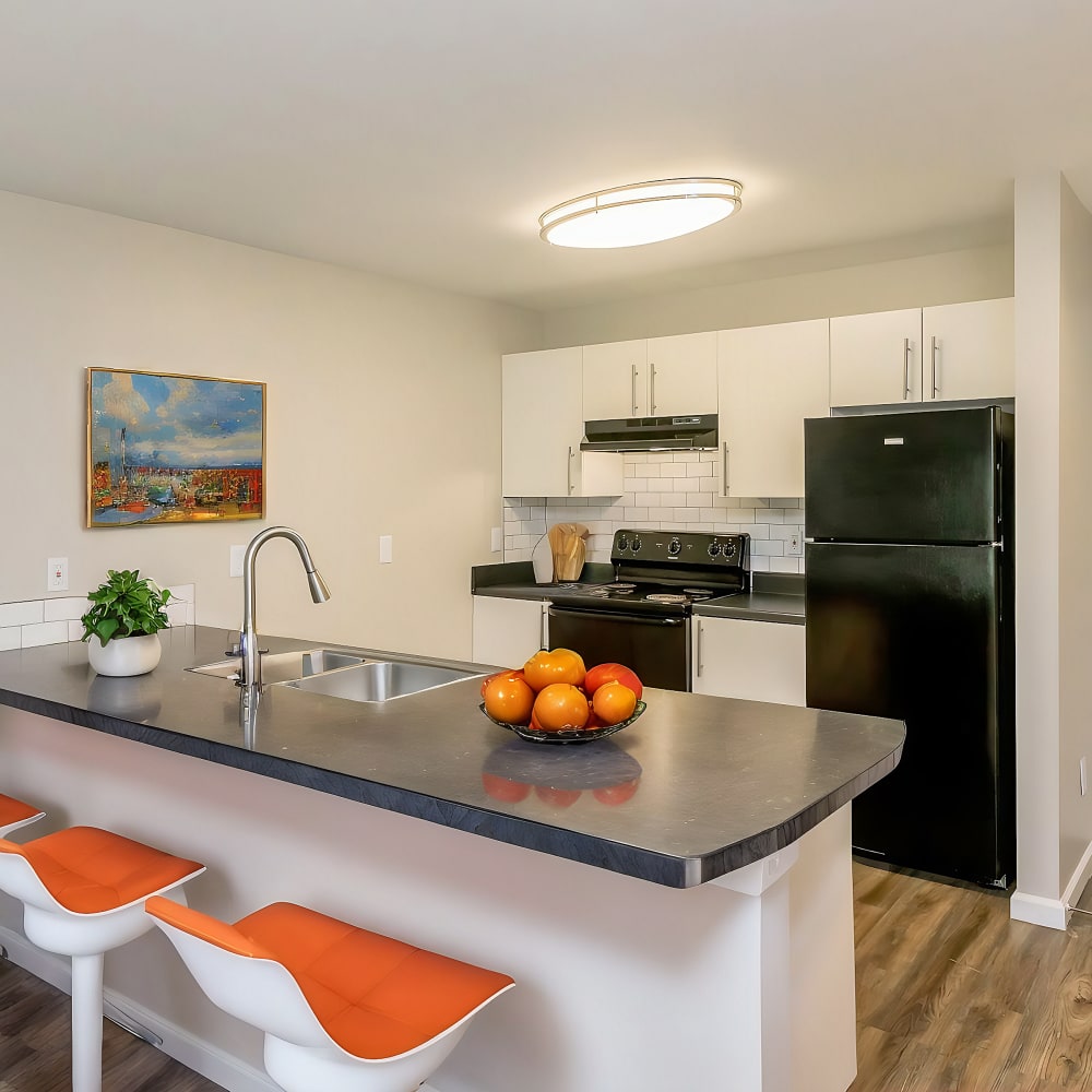 Classic kitchen with black appliances at Equinox at Midtown in Chattanooga, Tennessee