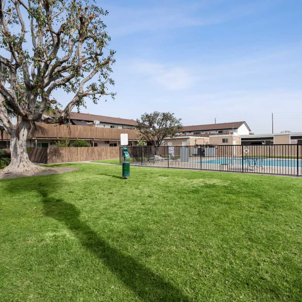 Grassy ppet area outside of pool at Newland Garden Apartments in Garden Grove, California