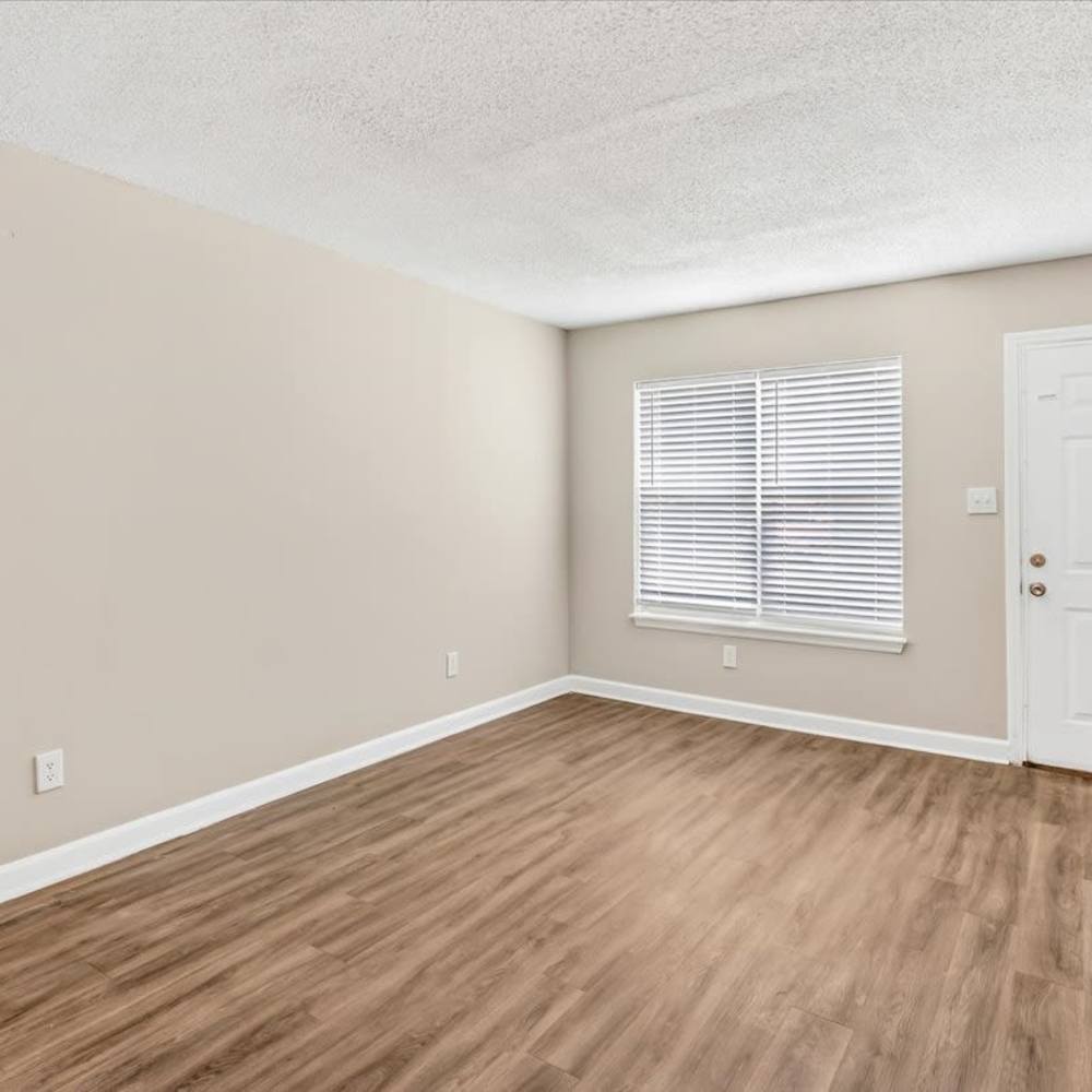 Large Living Room 