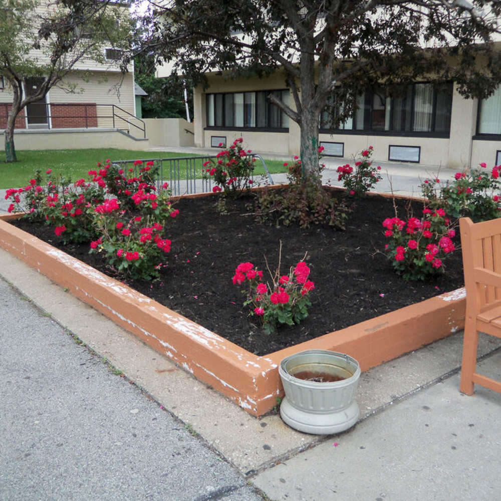 Flower bed with red blooms at Los Flamboyanes in Rochester, New York