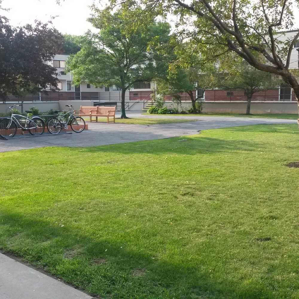 Green lawn with benches and bicycles near Los Flamboyanes in Rochester, New York