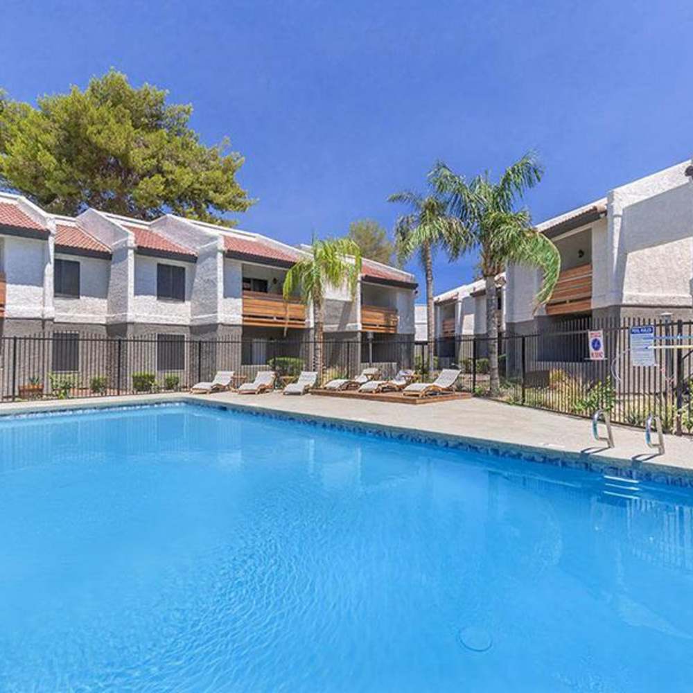 Resort-style pool surrounded by lounge chairs and palm trees with apartment buildings in the background at Fairways on Thunderbird in Phoenix, Arizona