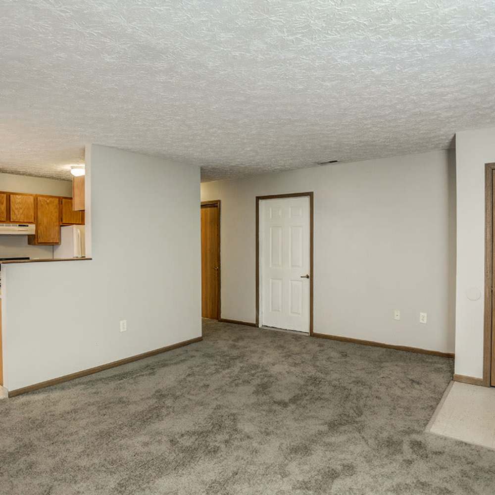 Open layout with carpeted living area at Leewood Place in Fremont, Ohio