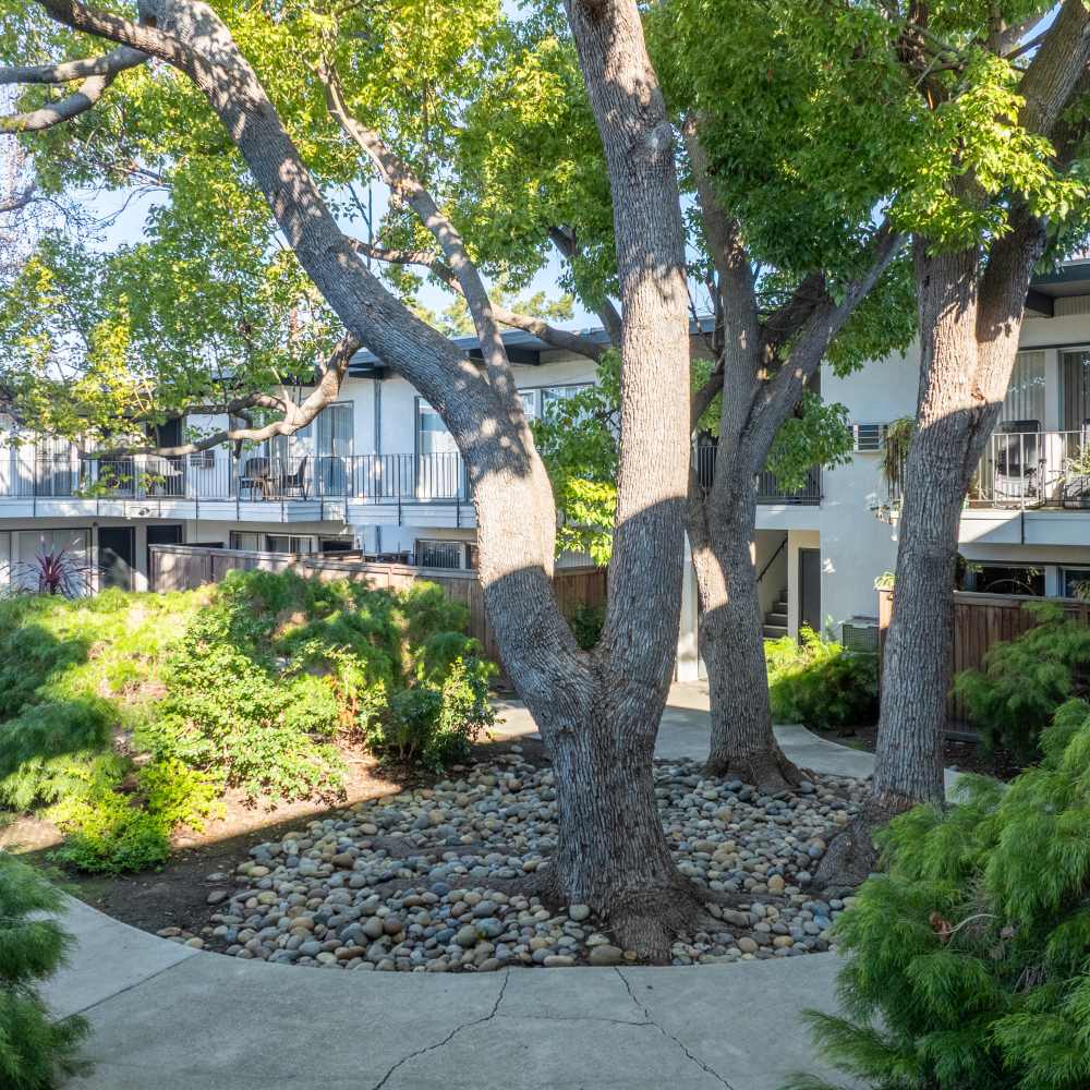  at Glenwood Garden Apartments in Mountain View, California