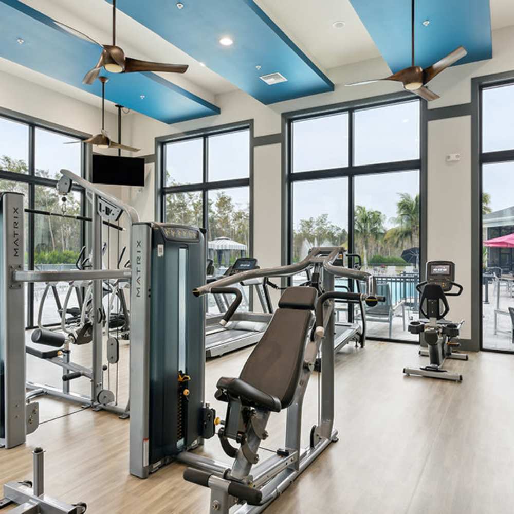 State-of-the-art fitness center with modern equipment at 81 West Apartments in Fort Myers, Florida