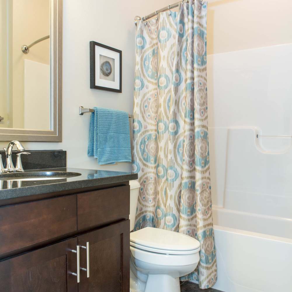 Bathroom with tube at The Apartments at Goose Creek in Fishersville, Virginia