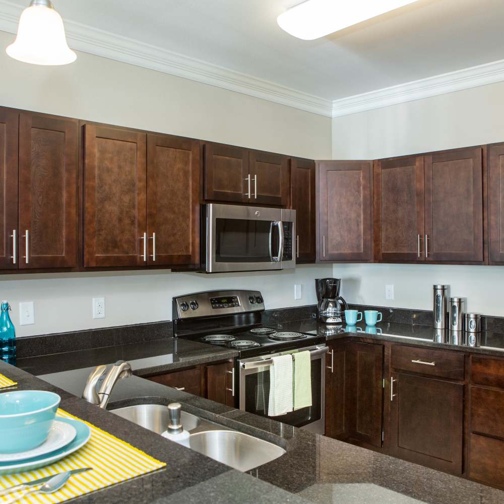 Kitchen with ceiling light  at The Apartments at Goose Creek in Fishersville, Virginia