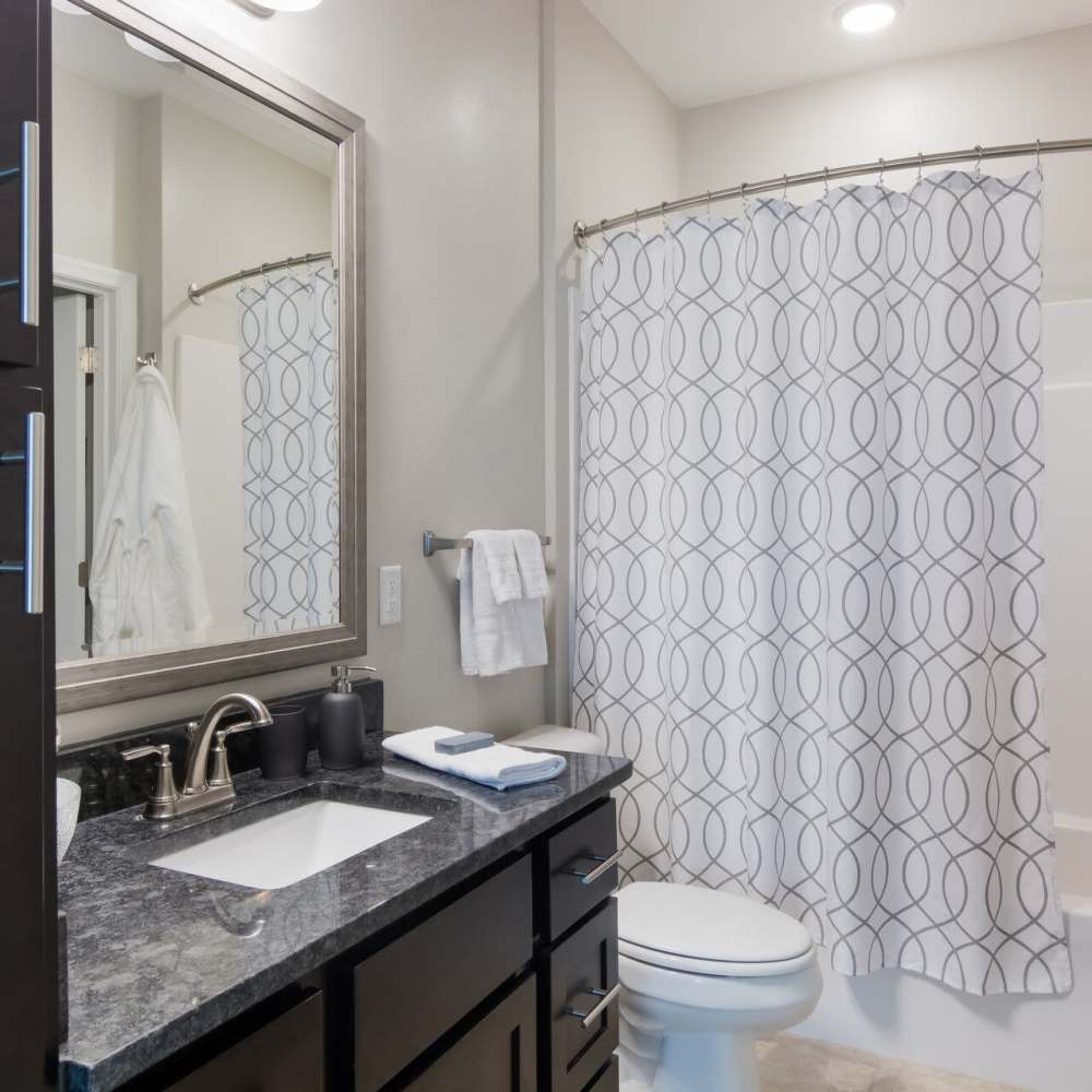 Bathroom with vanity mirror at The Apartments at Goose Creek in Fishersville, Virginia