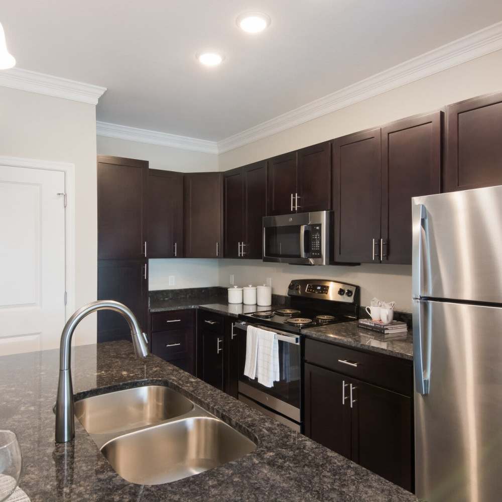 Kitchen with double sink  at The Apartments at Goose Creek in Fishersville, Virginia