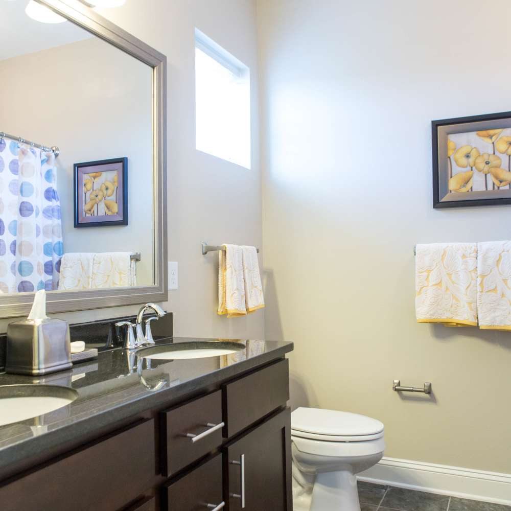 Bathroom with window at The Apartments at Goose Creek in Fishersville, Virginia