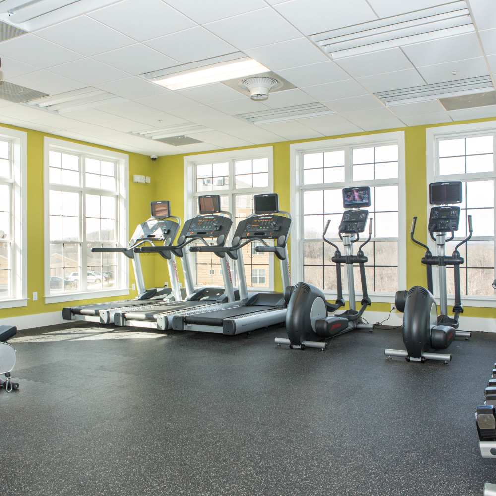Fitness center with treadmills at The Apartments at Goose Creek in Fishersville, Virginia