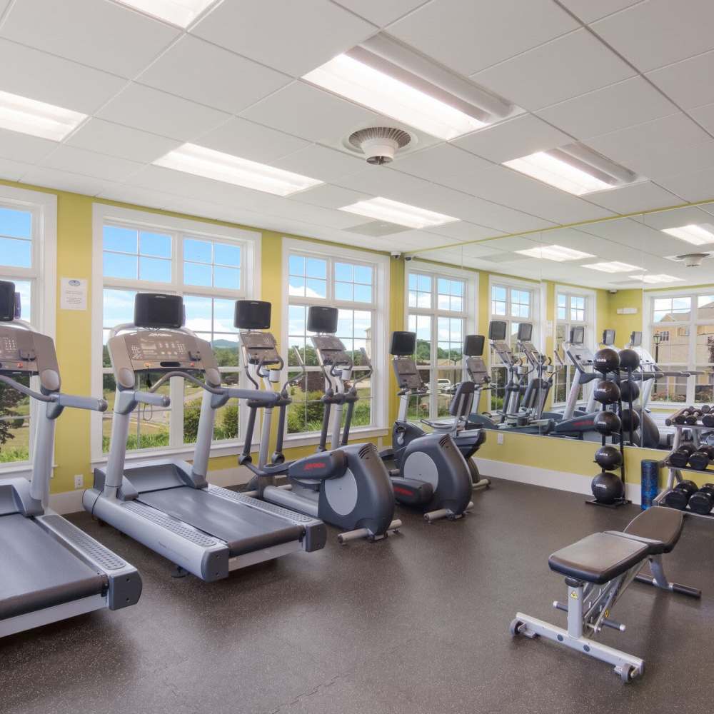 Fitness center with window at The Apartments at Goose Creek in Fishersville, Virginia