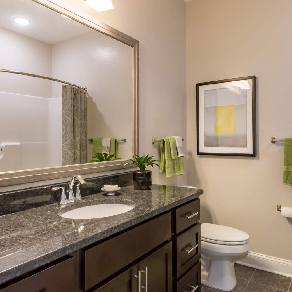 Modern bathroom with granite countertops at Stonegate at the Crossroads in Zion Crossroads, Virginia