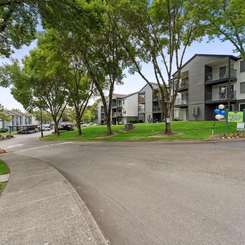 large trees and grass at Oak Hill apartments