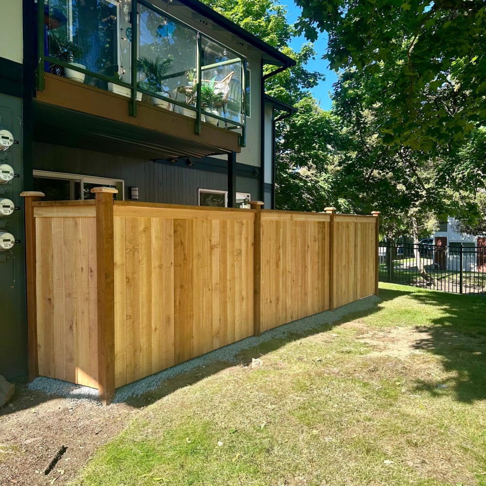 fenced backyard and balcony