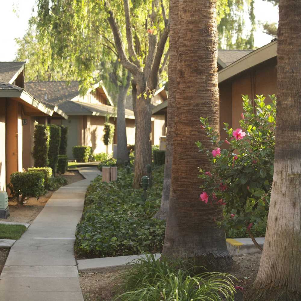 Lush pathways with blooming flowers near Terramonte Apartment Homes in Pomona, California
