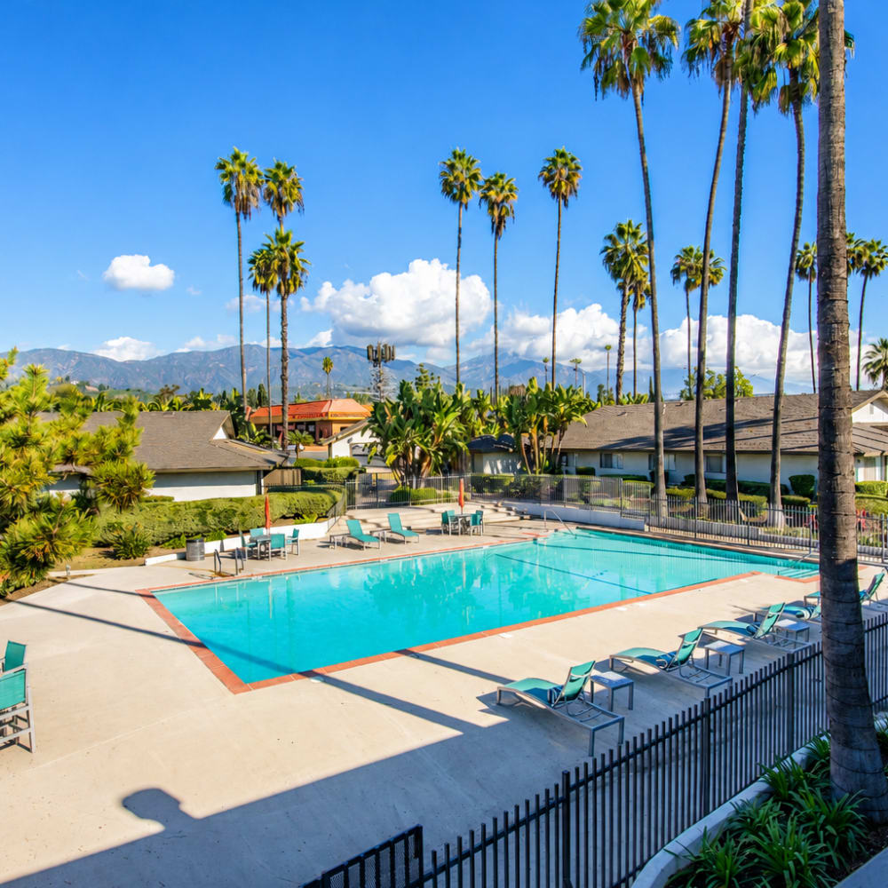 Sparkling pool surrounded by palm trees at Terramonte Apartment Homes in Pomona, California