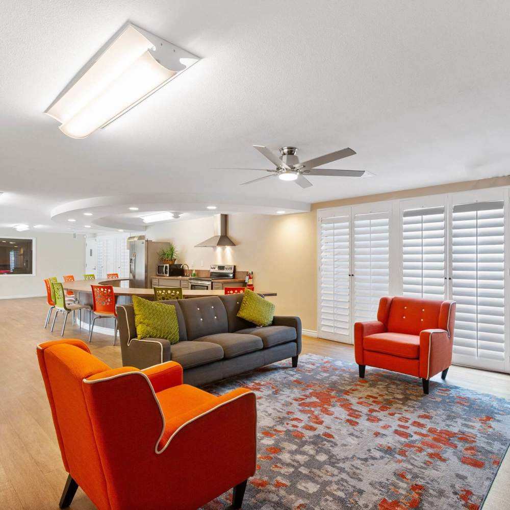 Living room with modern furniture at Terramonte Apartment Homes in Pomona, California