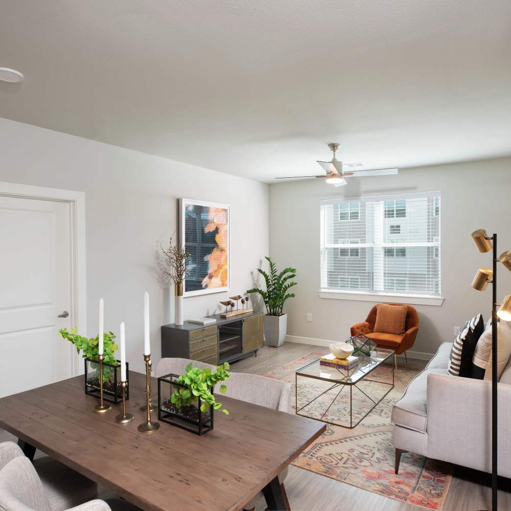 Open layout with natural light at August Friendswood in Friendswood, Texas
