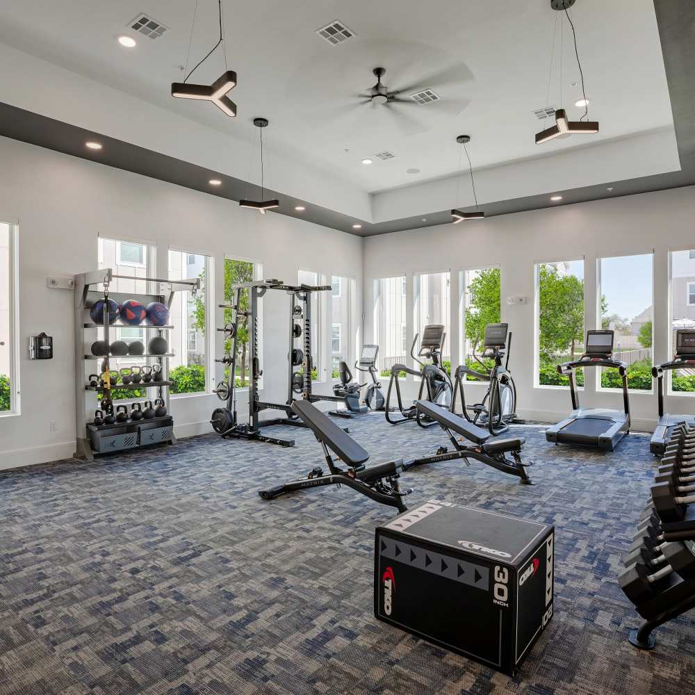 Fitness center with modern equipment at August Friendswood in Friendswood, Texas