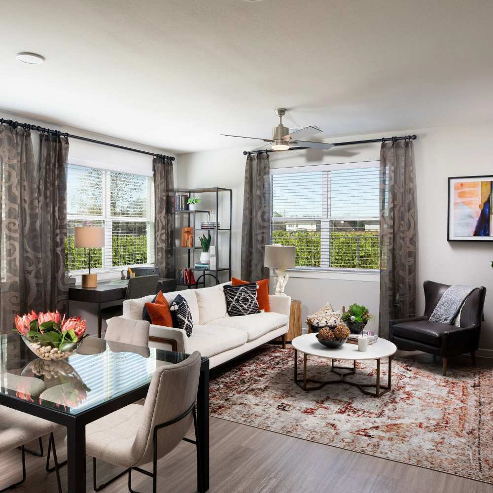 Stylish living room with natural light at August Friendswood in Friendswood, Texas