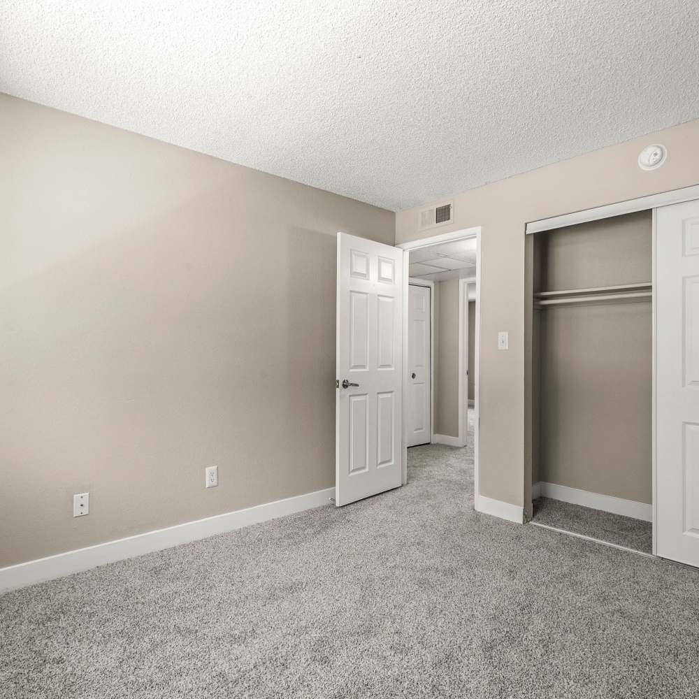 Designer trim and wall colors