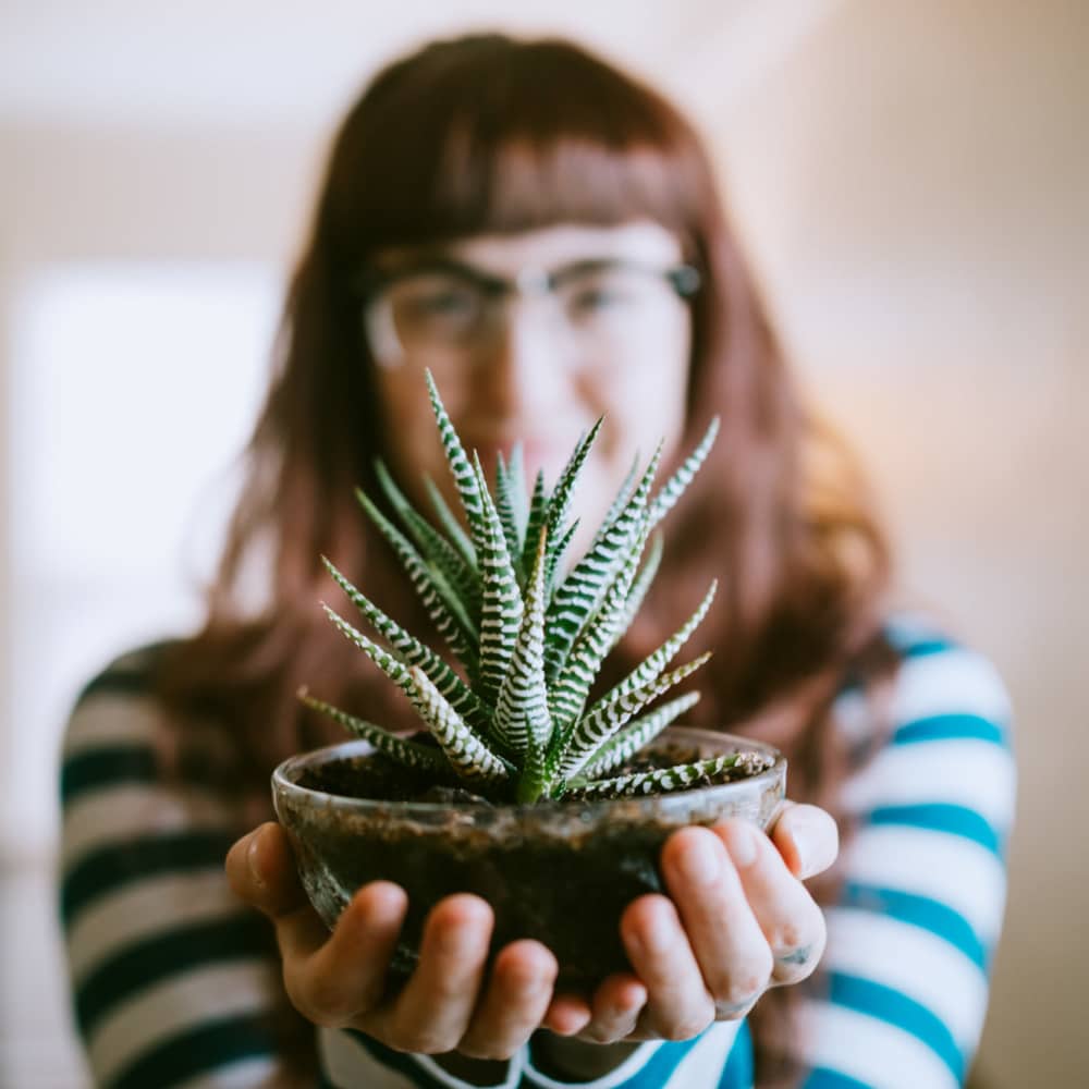 Resident with plant pot in hand  at Wallace Terrace Apartments in Charlotte, North Carolina