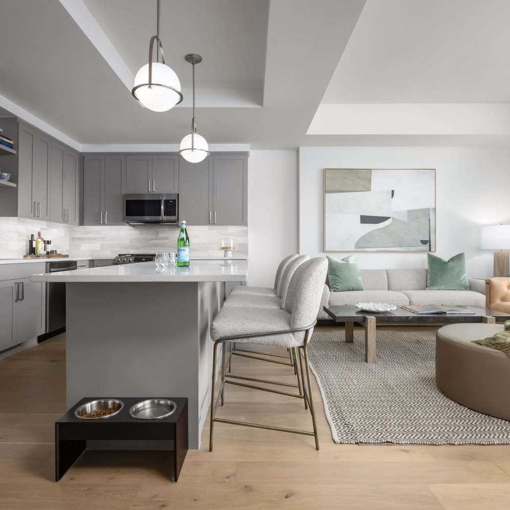 Open layout featuring a cozy living area with kitchen at Novel Turtle Creek in Dallas, Texas