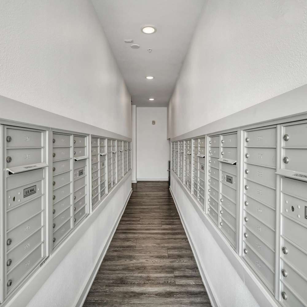 Modern mailroom with wood-style flooring at The Milo on Westheimer in Houston, Texas