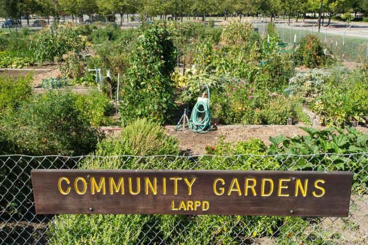 Community garden at La Vina Apartments in Livermore, California