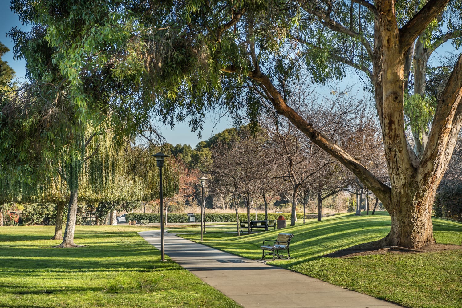 Walking path at Nantucket Apartments in Santa Clara, California