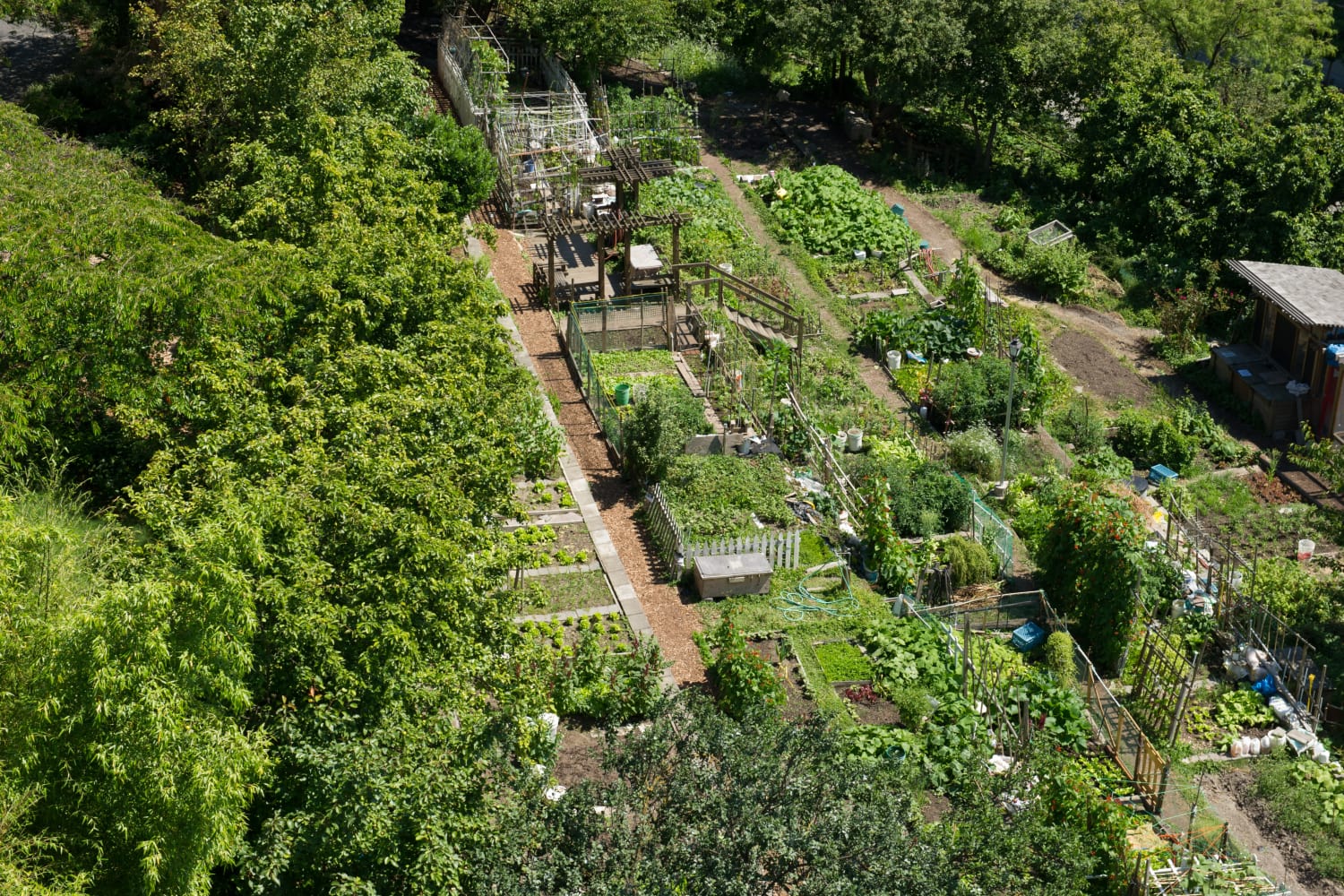 Aerial view of community garden at Metropolitan Park Apartments in Seattle, Washington