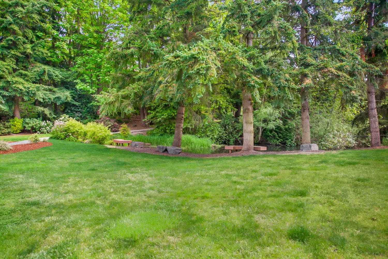 Well-maintained grassy area at Vue Kirkland Apartments in Kirkland, Washington