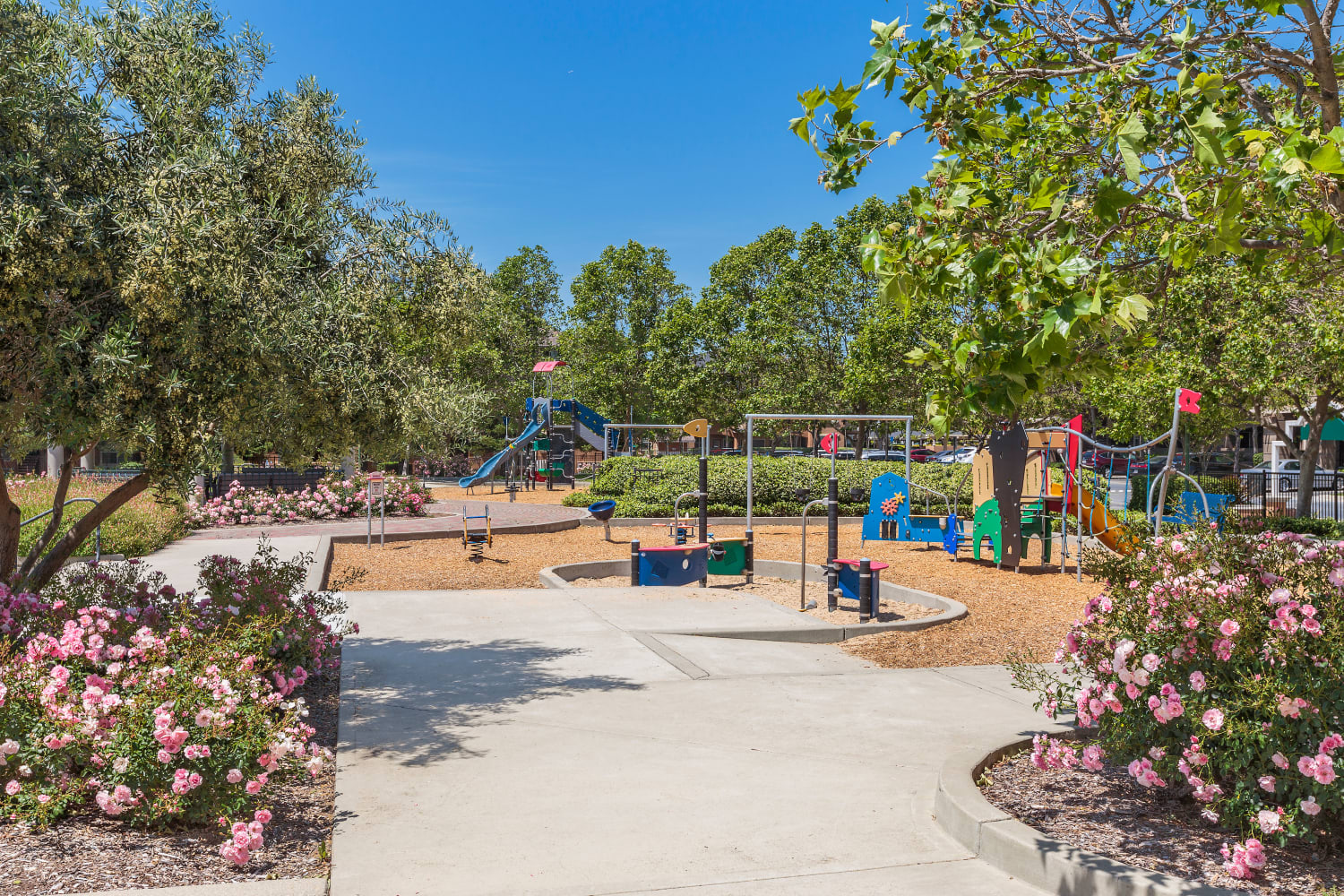 Take a sunny stroll to the playground at Park Hacienda Apartments in Pleasanton, California