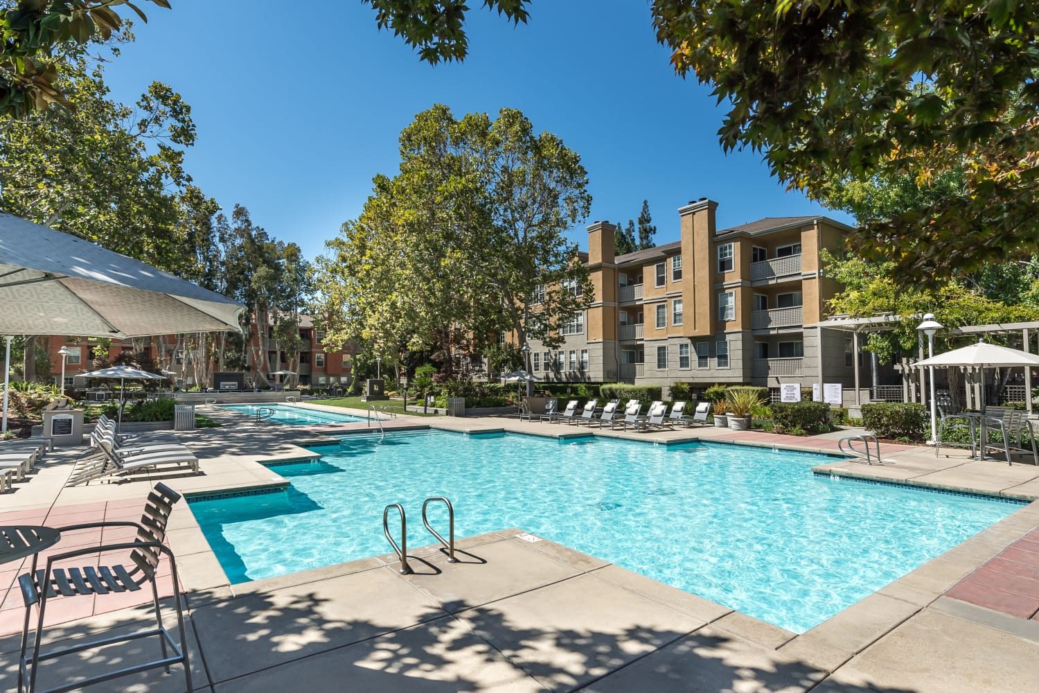 Exterior community pool at Bella Vista Apartments in Santa Clara, California