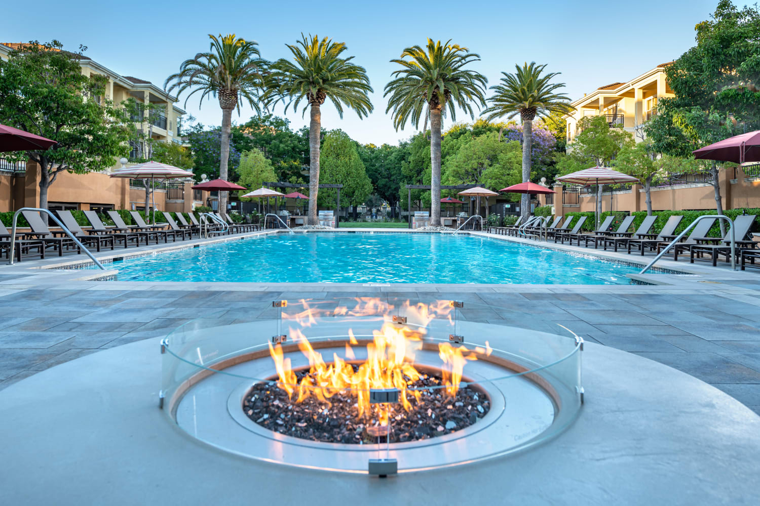 Exterior view of swimming pool and fire pit at The Carlyle Apartments